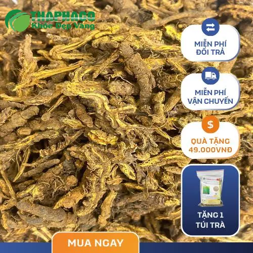 Hình ảnh các loại thảo dược tươi chất lượng cao tại Thảo Dược Tươi THAPHACO