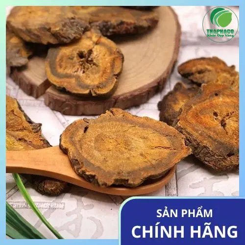 Đại hoàng khô chất lượng cao từ Thảo Dược Tươi THAPHACO