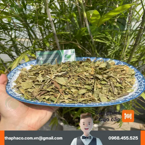 Hoàn ngọc khô Thảo Dược Tươi THAPHACO chất lượng cao