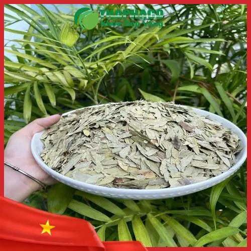 Phan Tả Diệp khô THAPHACO được kiểm định chất lượng nghiêm ngặt