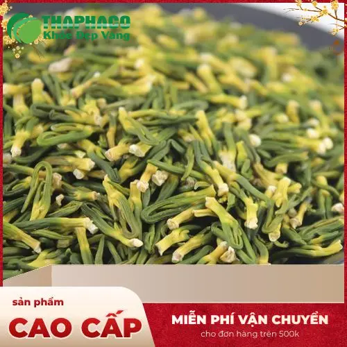 Nghiên cứu khoa học về tim sen và giấc ngủ