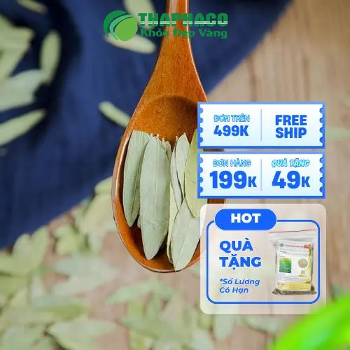 Pha trà Phan Tả Diệp đúng cách