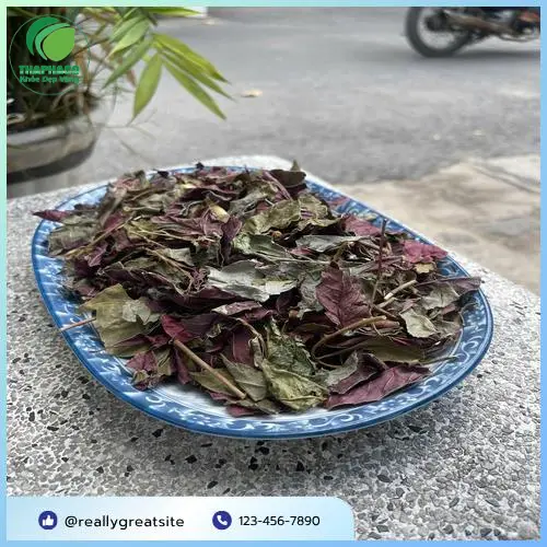 Cận cảnh lá đơn đỏ tươi, cho thấy độ tươi xanh và chất lượng của Thảo Dược Tươi THAPHACO