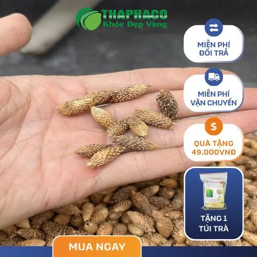 Quy trình sấy khô ké đầu ngựa hiện đại