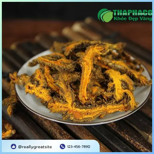 Thảo mộc tươi, sạch và an toàn cho sức khỏe từ THAPHACO