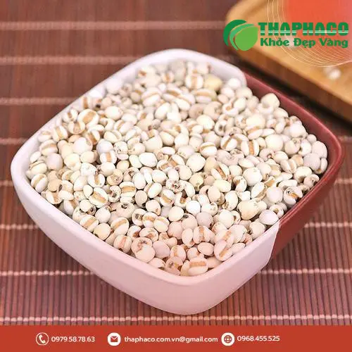 Quy trình kiểm soát chất lượng thảo mộc tươi tại THAPHACO