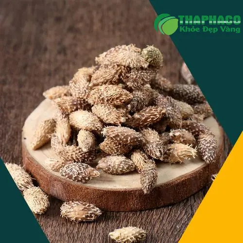 Ké đầu ngựa sấy khô với mức giá ưu đãi tại THAPHACO
