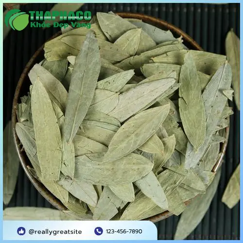 THAPHACO - Thương hiệu thảo dược uy tín tại TP.HCM