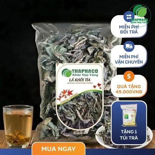 Cách dùng lá khôi tía hiệu quả