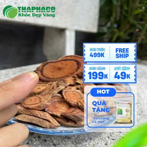 Kê Huyết Đằng tươi chất lượng cao