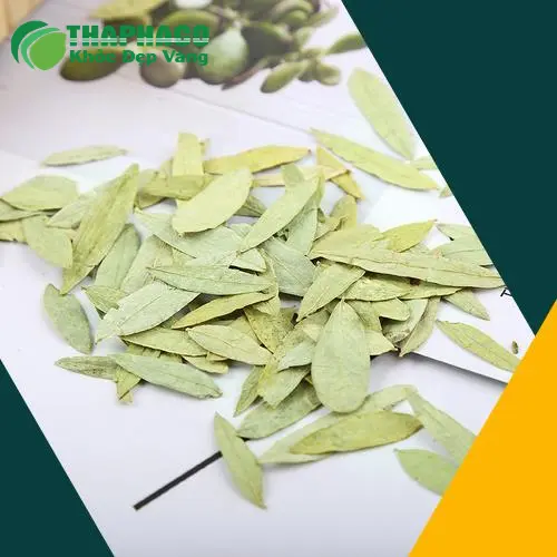 Công dụng của Phan Tả Diệp
