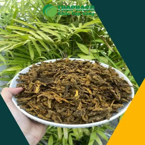 Thảo dược tươi được đóng gói cẩn thận, đảm bảo vệ sinh an toàn thực phẩm