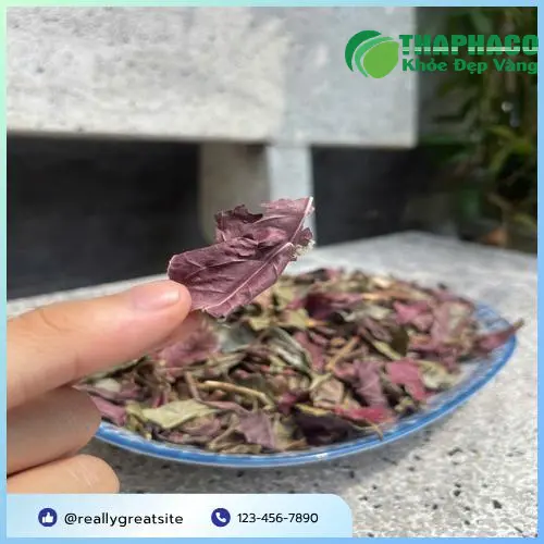Hướng dẫn bảo quản lá đơn đỏ tươi tại nhà