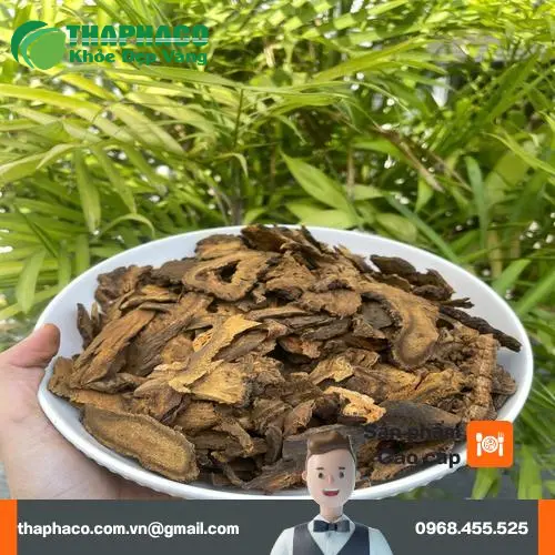 Yếu tố ảnh hưởng đến thời gian phát huy tác dụng của đại hoàng