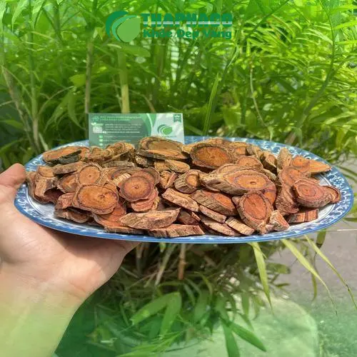 Ưu đãi Kê Huyết Đằng giá tốt tại THAPHACO