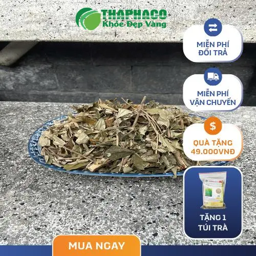 Khổ Sâm đã được đóng gói cẩn thận tại THAPHACO