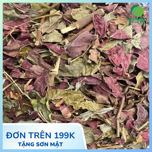 Lá đơn đỏ đạt chuẩn chất lượng tại THAPHACO