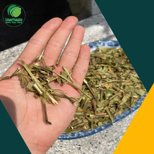 Hoàn ngọc khô đóng gói bao bì tiêu chuẩn