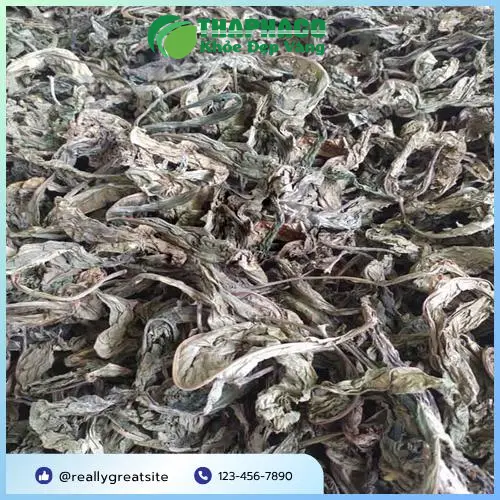 Quy trình kiểm định chất lượng Lá Khôi Tía tại THAPHACO