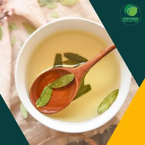 Cách sử dụng và bảo quản Phan Tả Diệp khô đúng cách