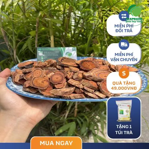 Sản phẩm Kê Huyết Đằng chất lượng tại Thảo Dược Tươi THAPHACO