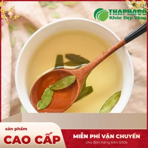 Thảo Dược Tươi THAPHACO - Nơi cung cấp Phan Tả Diệp uy tín
