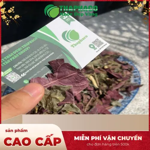 Lá đơn đỏ được sấy khô tự nhiên, đảm bảo giữ nguyên dược tính và tiện lợi cho việc bảo quản lâu dài