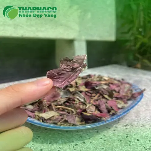 Lá đơn đỏ THAPHACO - sự lựa chọn của chất lượng và giá tốt