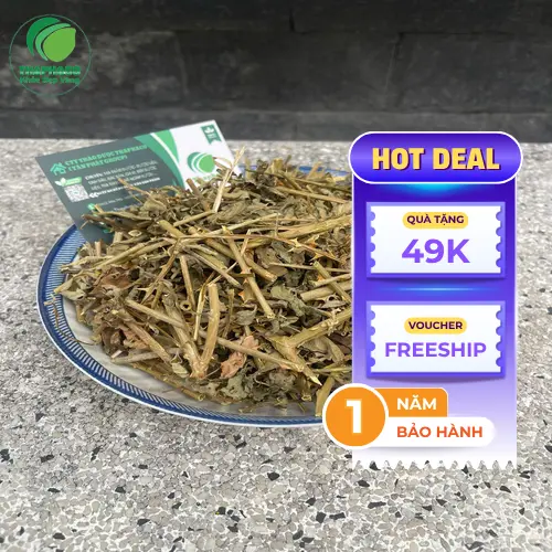Sản phẩm cà gai leo đóng gói cẩn thận, chuyên nghiệp từ THAPHACO