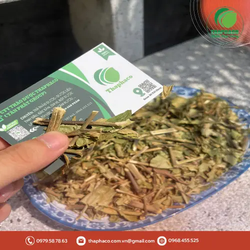 Hoàn ngọc khô THAPHACO giá tốt và freeship