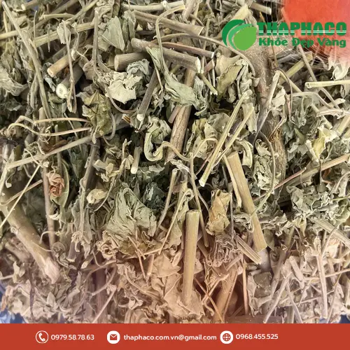 Hình ảnh cây cối xay tươi xanh tự nhiên