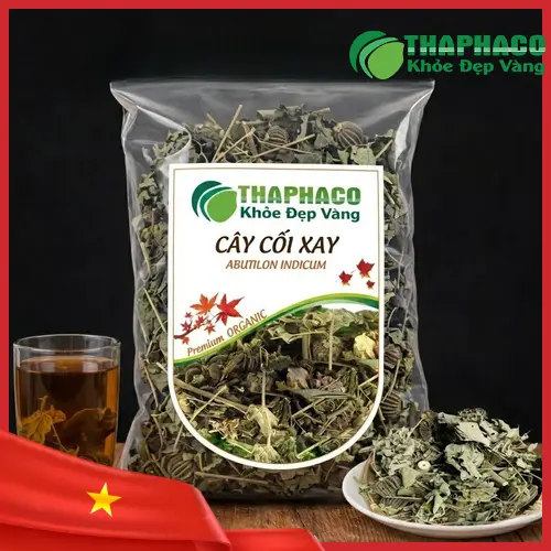 Hình ảnh cây cối xay tươi, thảo dược cao cấp từ Thảo Dược Tươi THAPHACO