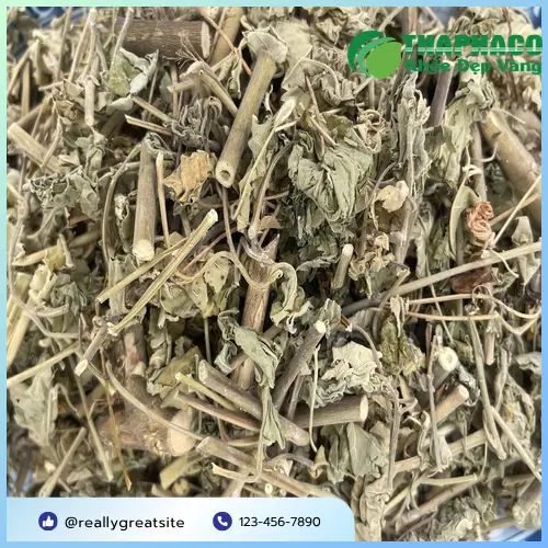 Cây cối xay tươi, lá hình tim, hoa vàng, quả cối xay đặc trưng