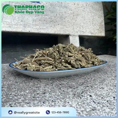 Hình ảnh cây cối xay tươi chất lượng cao từ Thảo Dược Tươi THAPHACO