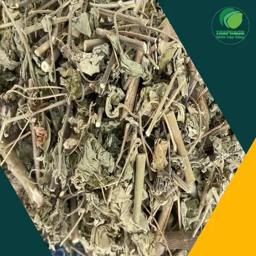 Quy trình chế biến trà cối xay tại Thảo Dược Tươi THAPHACO