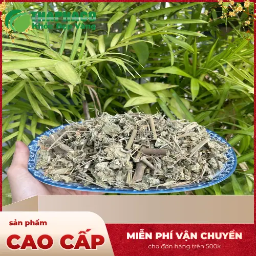 Quy trình sấy khô cây cối xay hiện đại