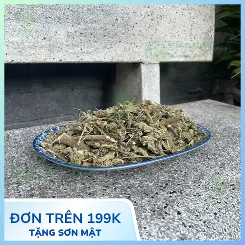 Cách sắc nước cây cối xay để sử dụng, liều lượng và lưu ý quan trọng