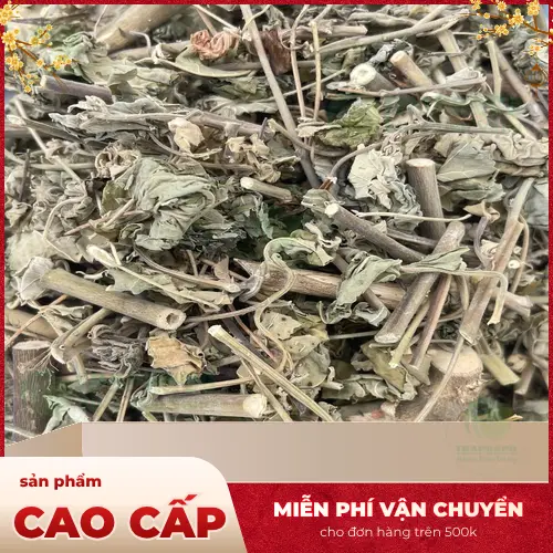 Quá trình kiểm định chất lượng cây cối xay tại THAPHACO