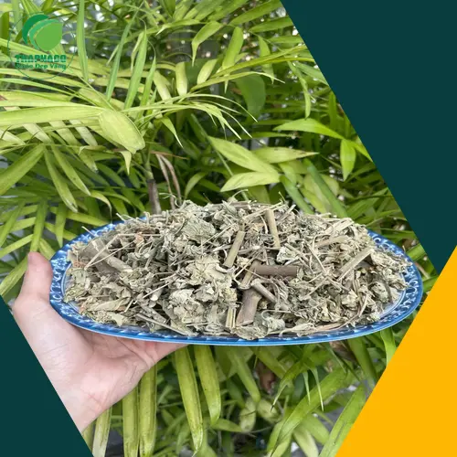 Bảo quản cây cối xay khô đúng cách