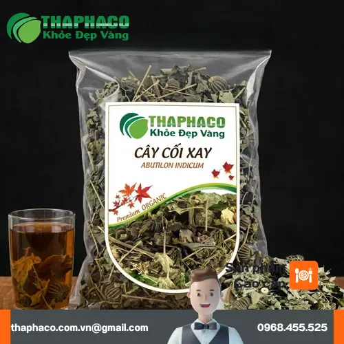 Hướng dẫn bảo quản cây cối xay tươi và khô đúng cách để giữ dược tính
