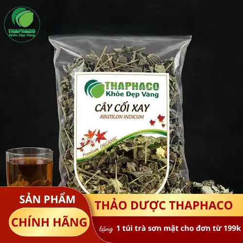Khuyến mãi hấp dẫn khi mua cây cối xay tại THAPHACO