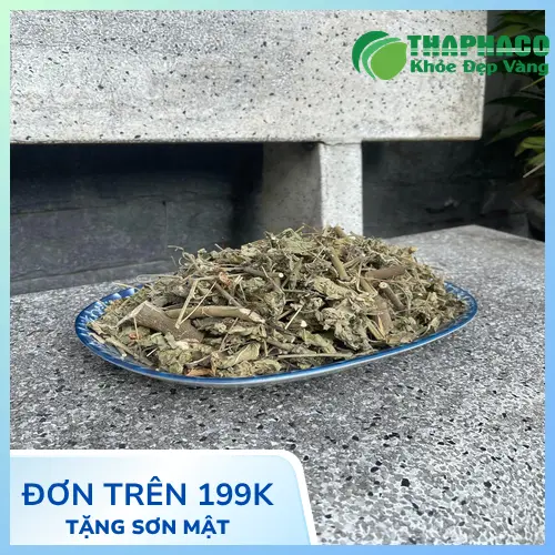 Người dùng đang pha trà cây cối xay