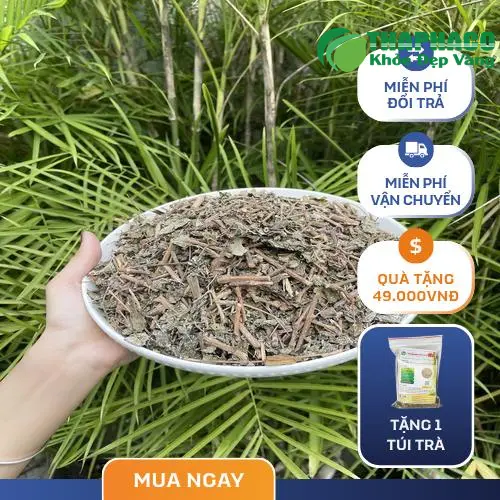 Chè dây khô THAPHACO chất lượng cao