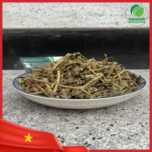 Hình ảnh cà gai leo tươi chất lượng cao tại Thảo Dược Tươi THAPHACO
