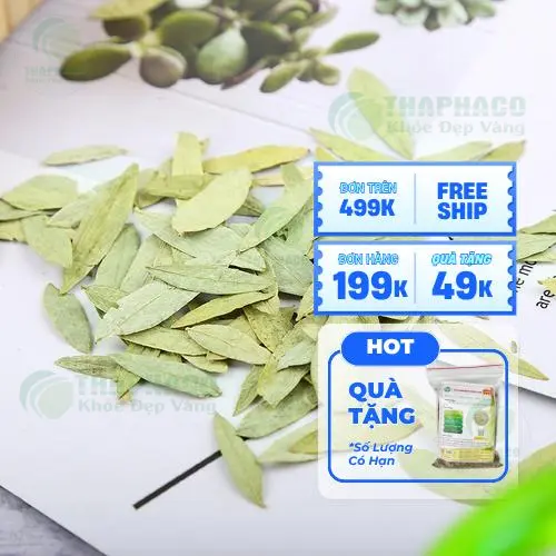 Phan Tả Diệp chất lượng cao của Thảo Dược Tươi THAPHACO