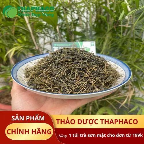 Giảo Cổ Lam tự nhiên và tươi xanh