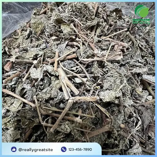 Chè dây THAPHACO đã được sơ chế và phơi khô