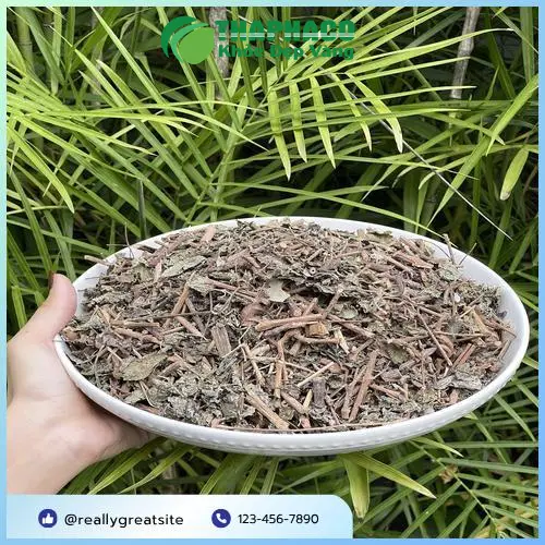 Lá chè dây khô chất lượng cao sau quá trình sơ chế