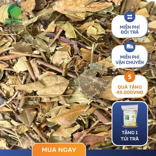Chè vằng khô nguyên chất THAPHACO