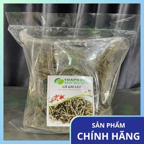 Cách pha trà cà gai leo uống hàng ngày